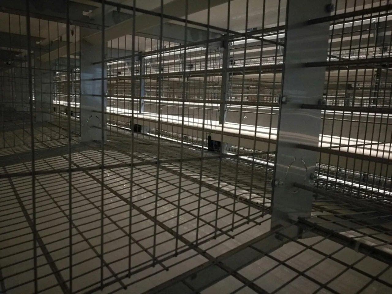 Mesh Wire Cage Partition