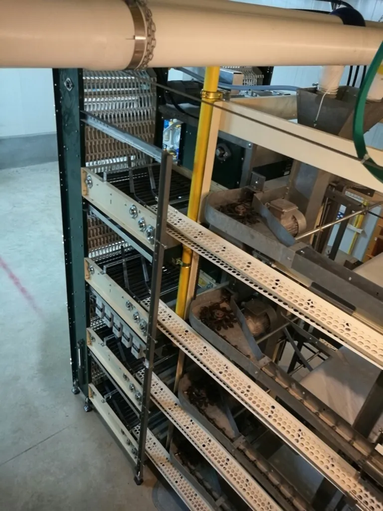 Egg Belt Mechanism