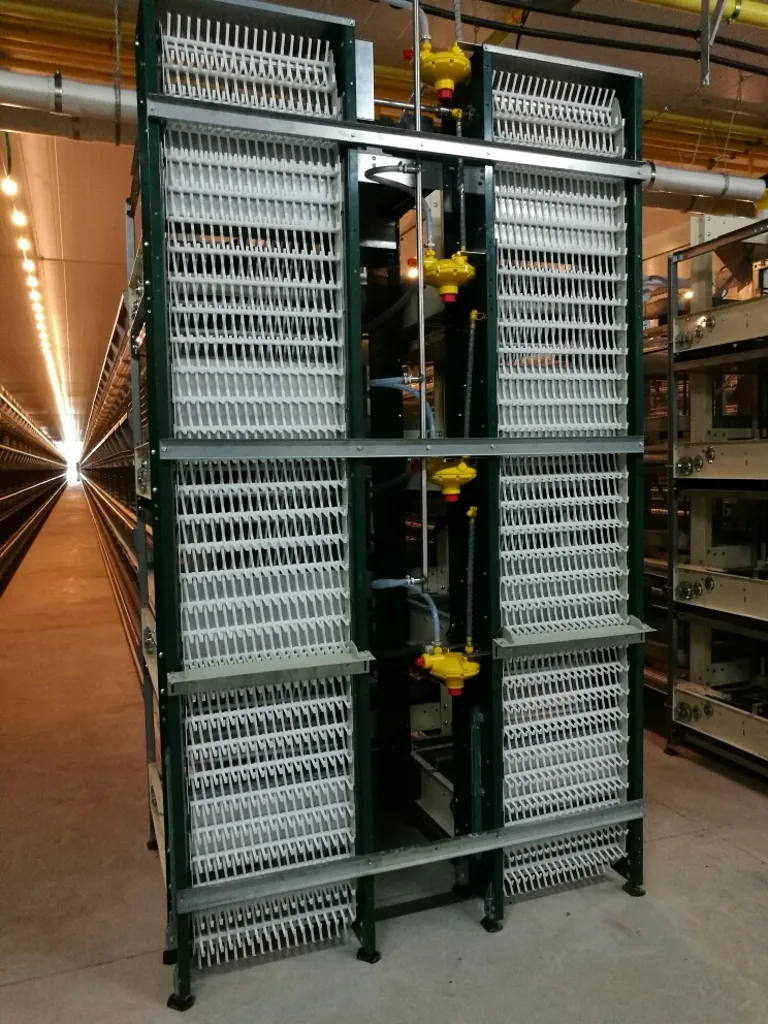 Egg Collection & Handling