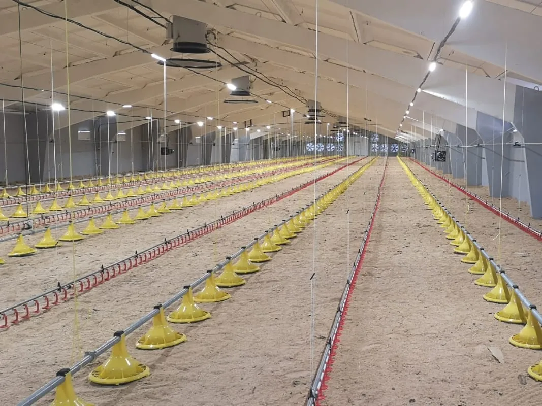 Open Aisle Access