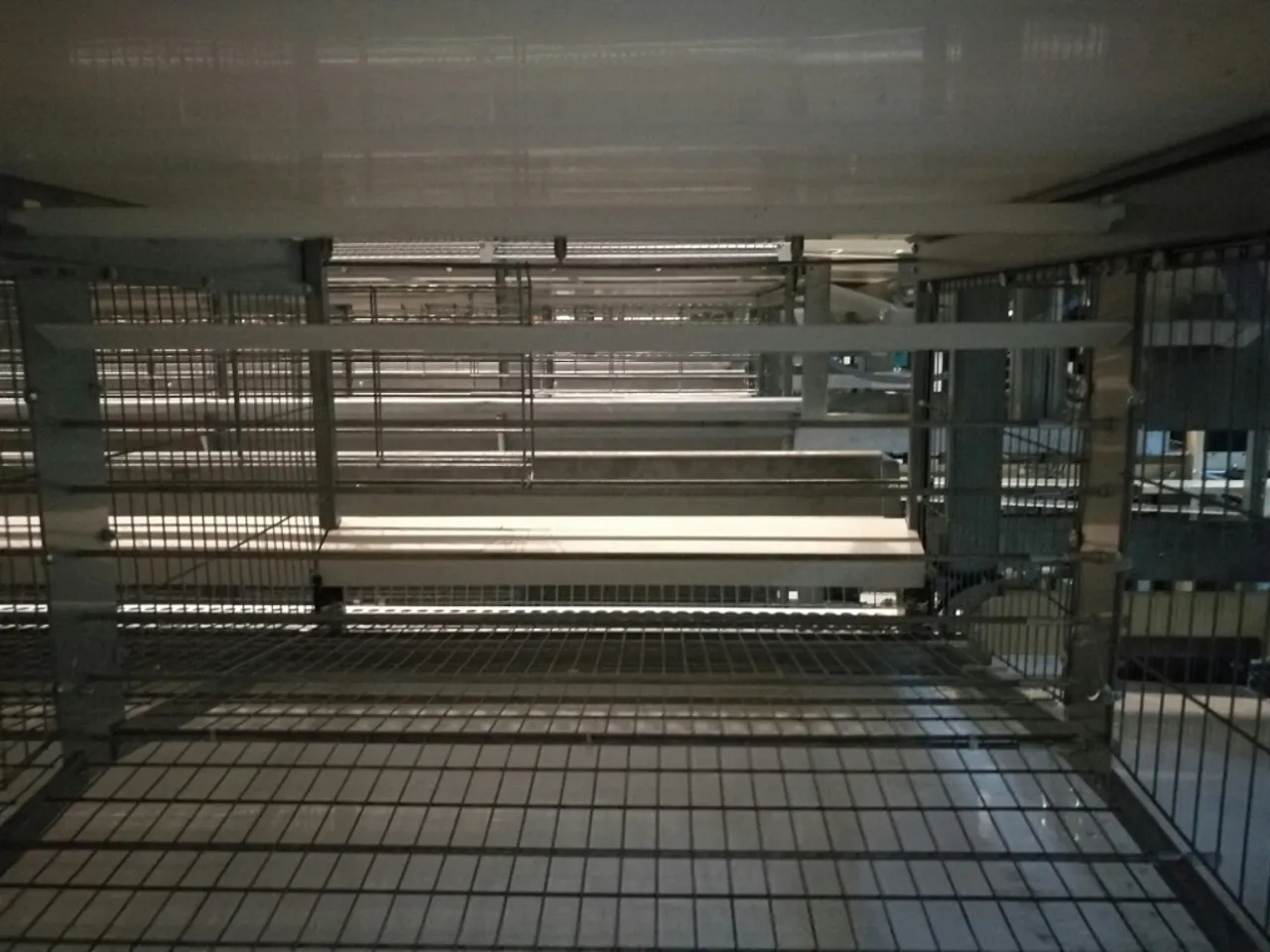Inside the Layer Cage